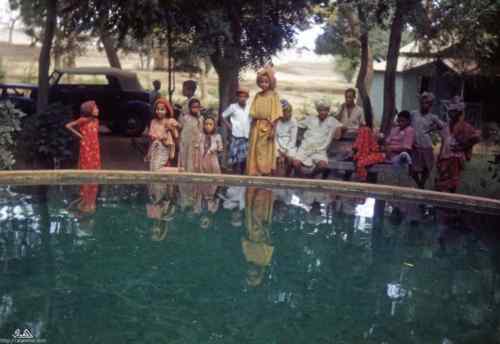 ���� ������ ��� ��� ����